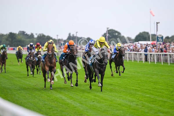 080925-Race 1-Proud Nation-7154 - Race 1 2.30pm Enter ITV7 For Free Confined EBF Maiden Stakes