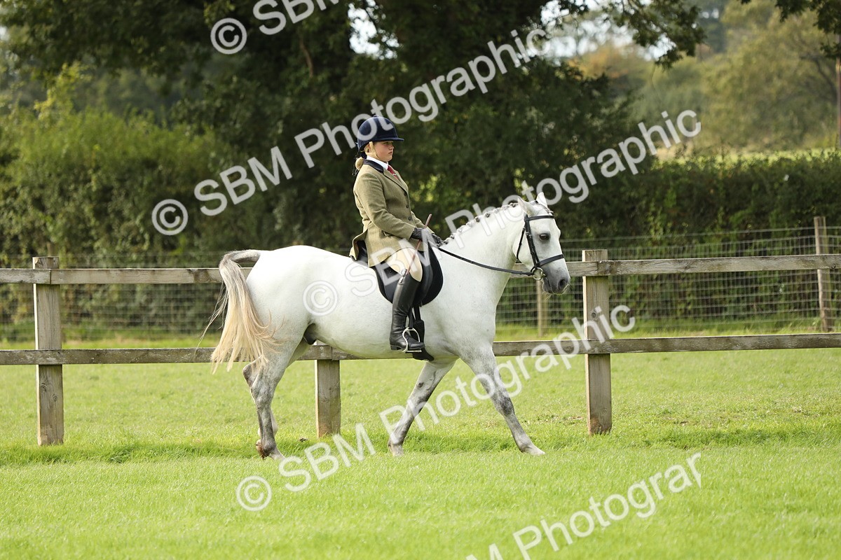 SBM_71463 - S41 - Ridden Equitation (Best Rider)