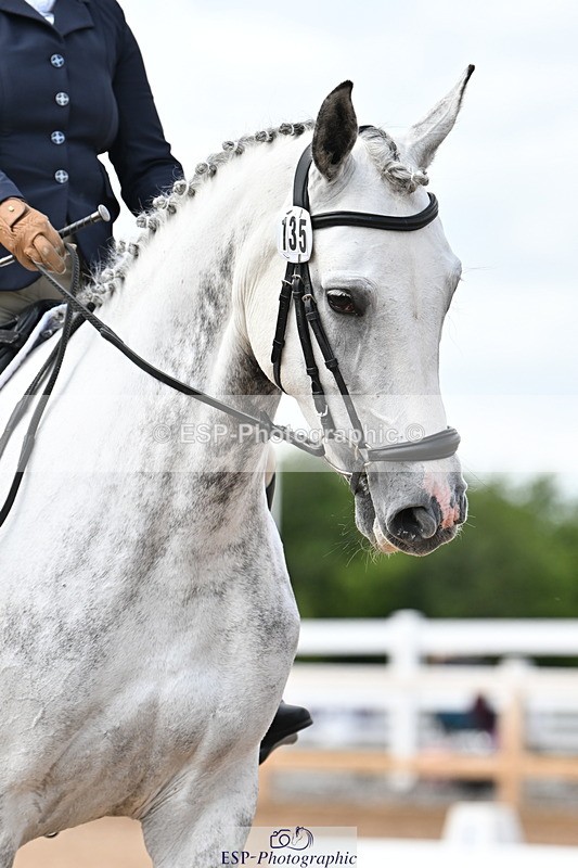 240622A-150313-12031 - Cls 6A Novice 30