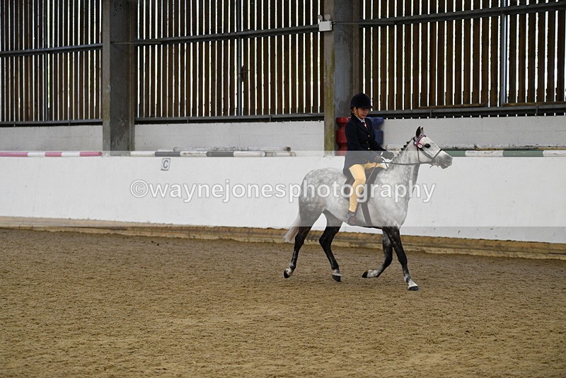 WJ5_7733 - Class 13 Ridden Part Breed