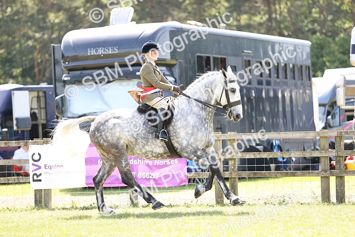 SBM_16238 - Class 79-80 - LIHS BSHA Rising Star Ridden Hunter