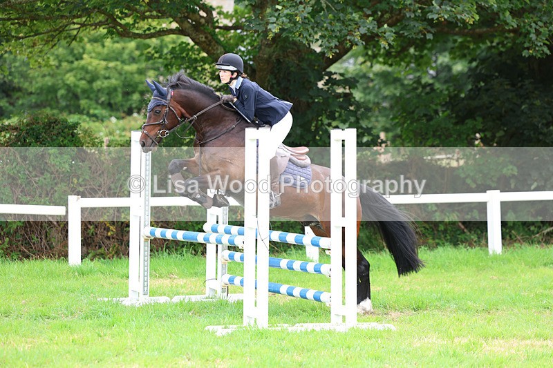 3E7A7136 - Class 5: Senior British Novice/90cm open