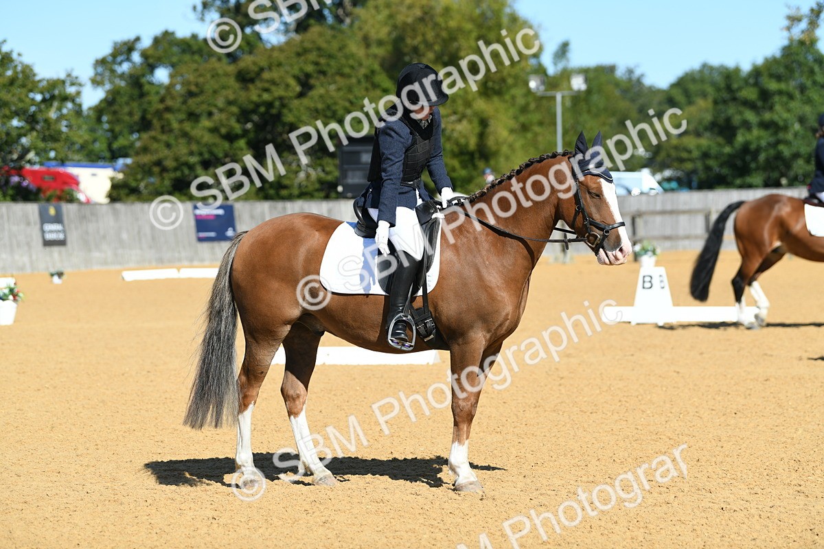 SBM_18150 - D4 - Small Tour Championship - Intro B