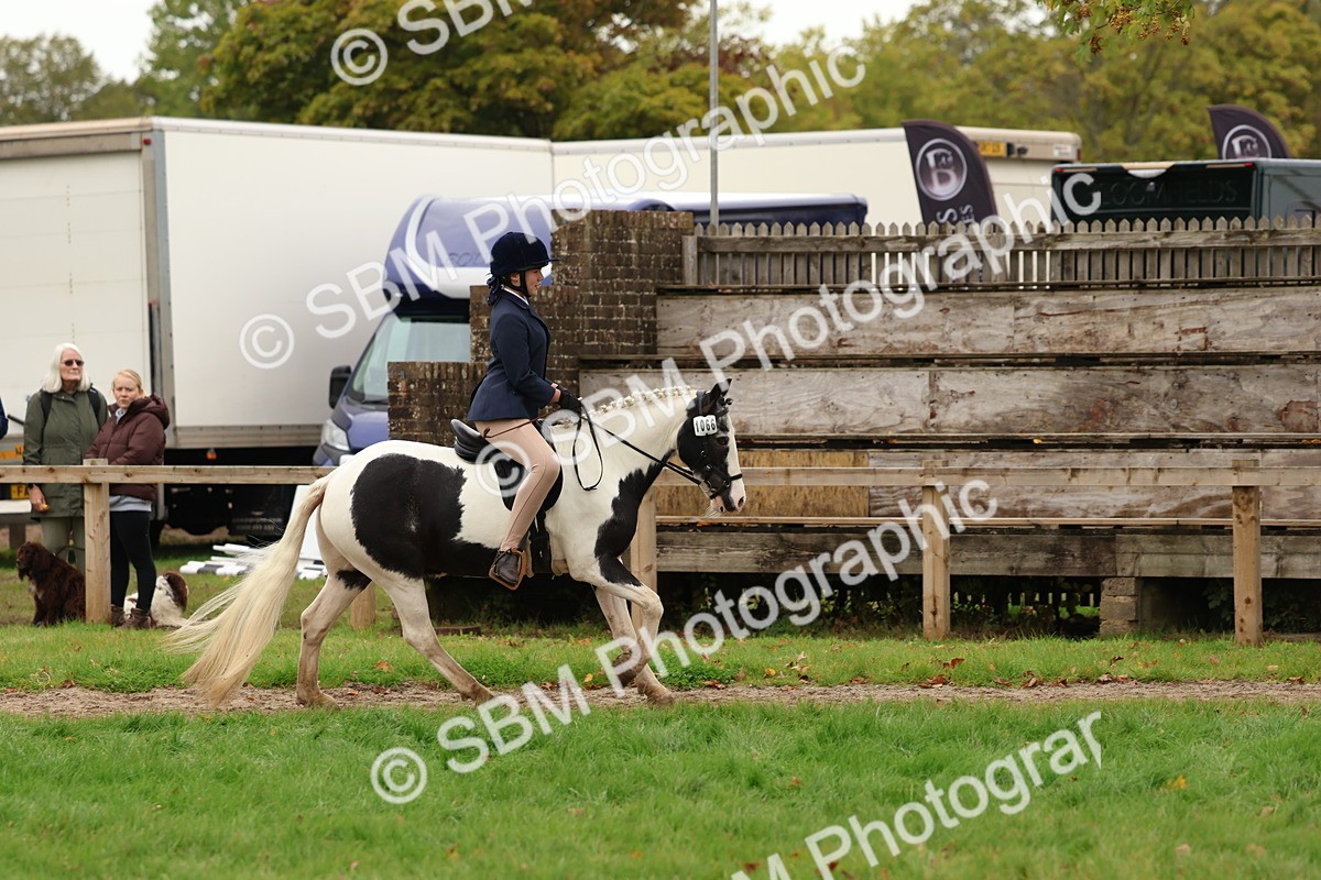 SBM_59954 - S36 - Rehabiliated Rescue Horse & Pony In Hand & Ridden