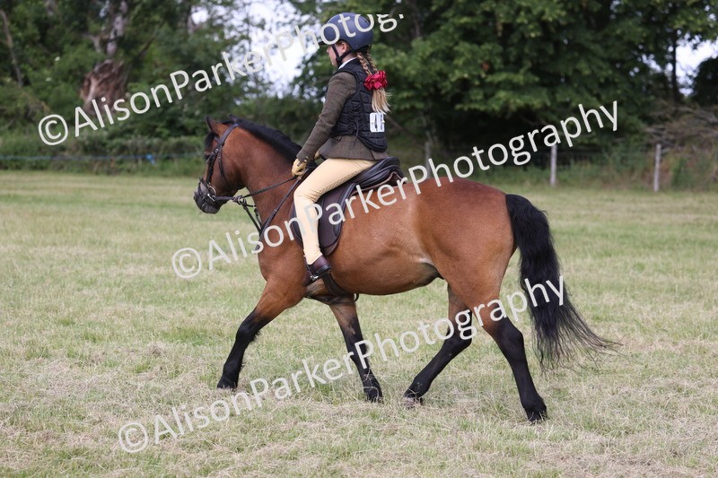 20260614-1829 - Class 21 - Novice Working Hunter Pony