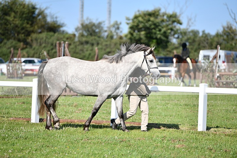 DSC_5926 - Class 51: NPS M&M 2/3 year olds