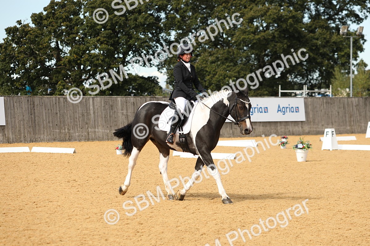 SBM_22215 - D17 - Grand Tour Championship - Novice 27