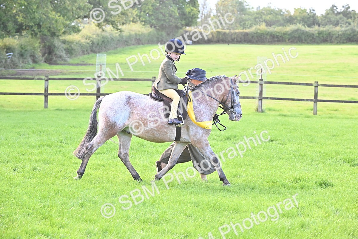 SBM_36534 - S18 - Novice & Newcomer Lead Rein Pony