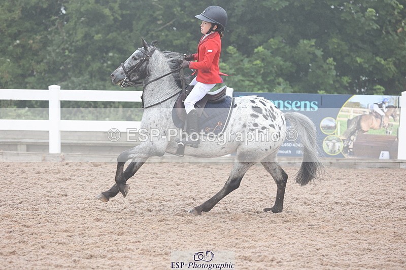 240630A-083223-11237 - Cls 30 British Novice and 80cm Open