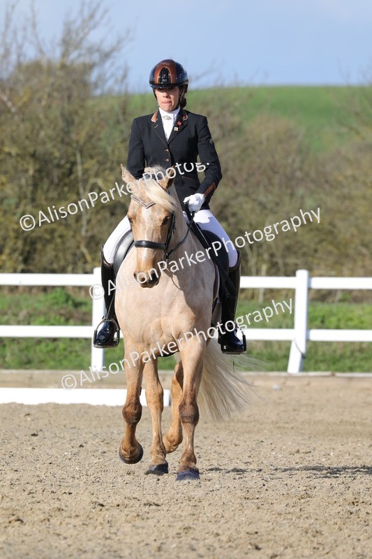 20260314-5798 - DR 7 - Elementary 1