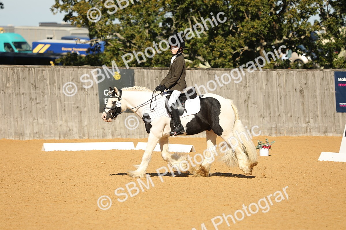 SBM_40382 - D21 - Junior Championship - Intro A