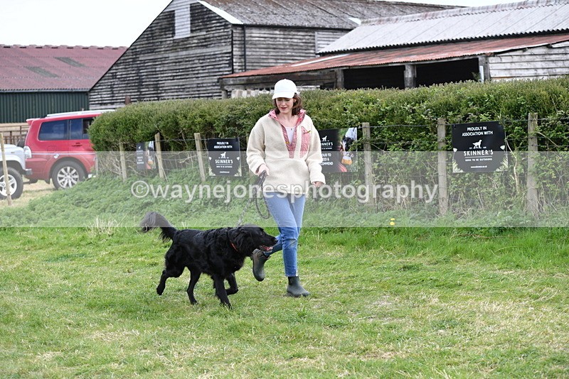 WJ5_0071 - Class 5 Best Veteran / 7 years & over