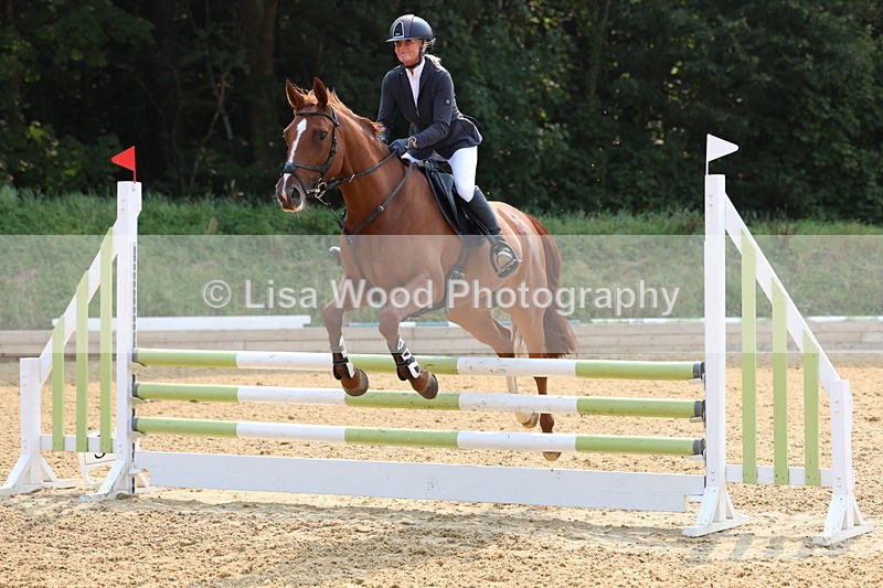 3E7A1365 - Class 4: Senior British Novice/90cm open