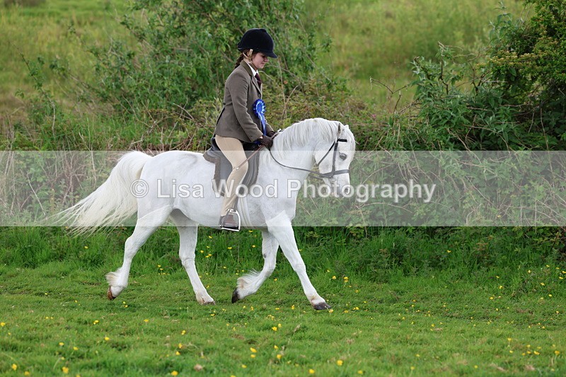 3E7A0567 - Class 5: Ridden M & M Junior