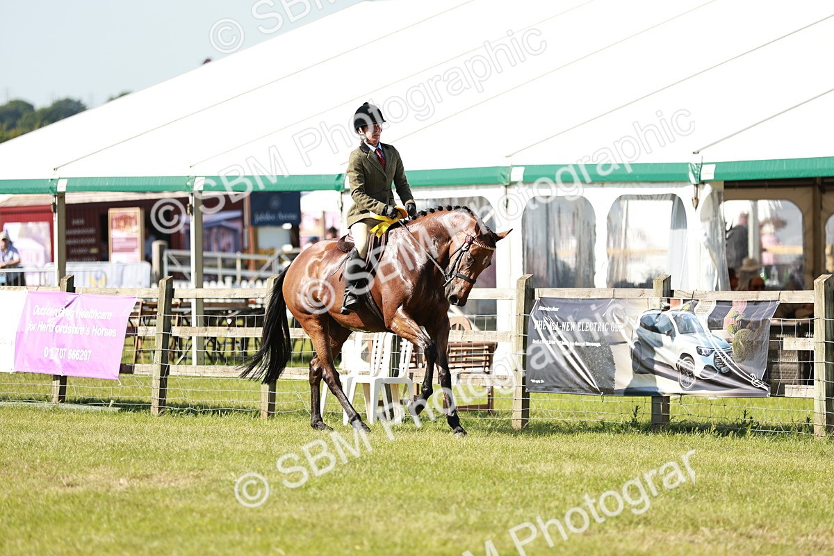 SBM_18961 - Class 114 - RIHS & SEIB Open Working Show Horse