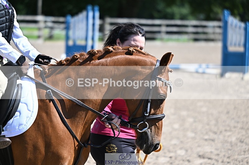240729B-110706-02234 - Showjumping Competition