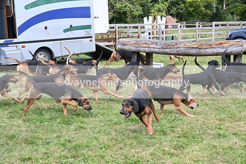 WJ6_3122 - Berks & Bucks - The Old farmhouse - Hound Exercise 20-08-25