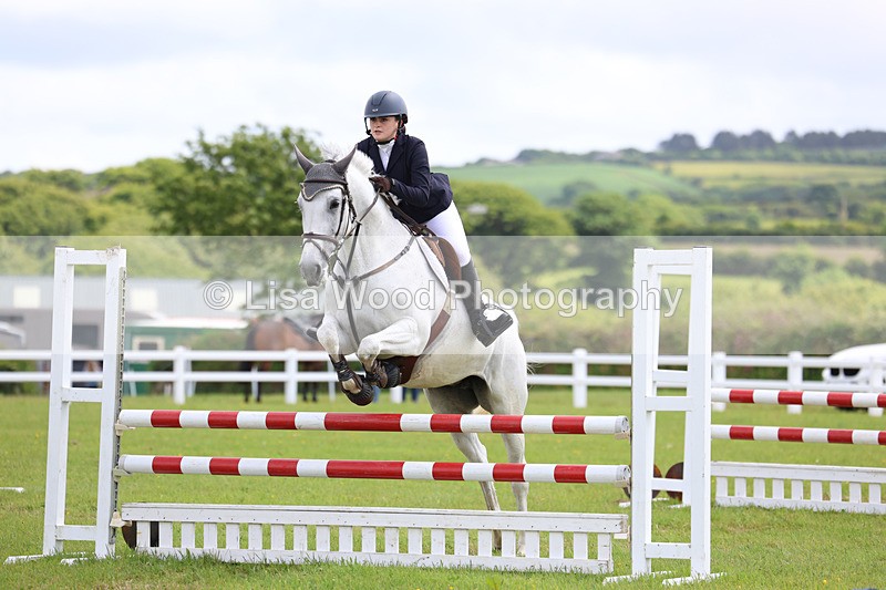 3E7A7368 - Class 13: Senior British Novice/90cm open