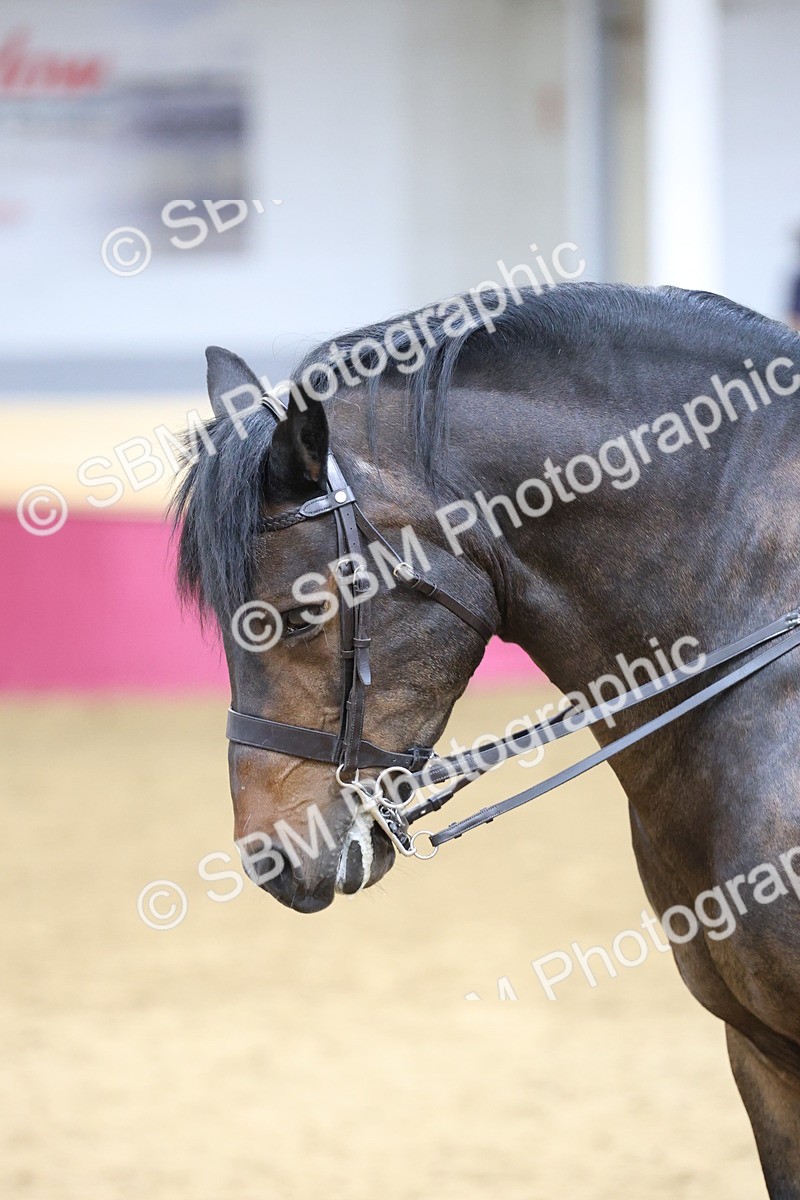 SBM_23613 - Class 904 - Supreme Final - Ridden Diamond