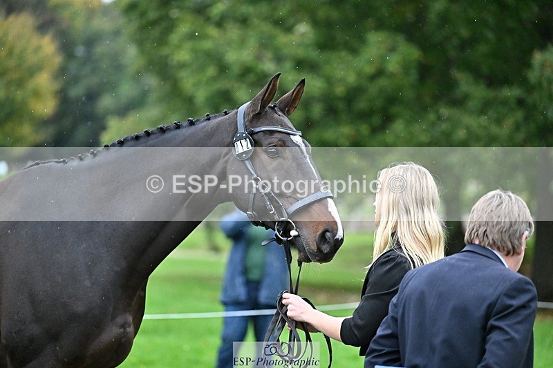 251022A-160927-00730 - A-012-Beth.Hobden