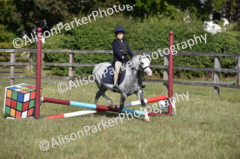 20250831-0452 - Class 7 - Absolute Novice 35cm