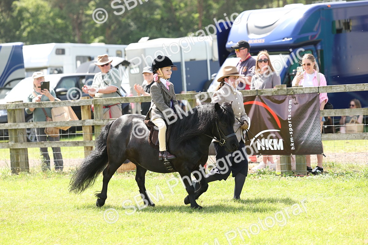 SBM_05311 - Class 24-25 - Mountain & Moorland In Hand Lead Rein and First Ridden