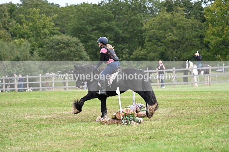 WJ7_7900 - 40cm Time 10:49 to 11:18