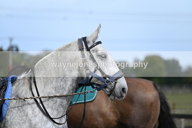 WJ7_6701 - Berks & Bucks at Blandy’s Farm 31-08-25