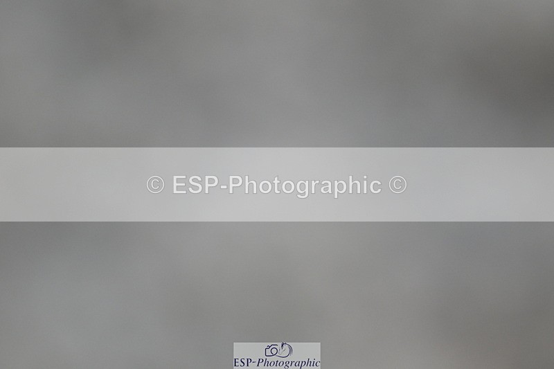 240611A-194131-01431 - 50cm