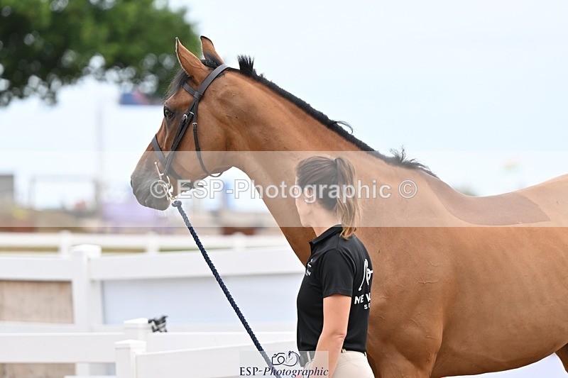 250716-152543-01931 - Trot Up 2.30 to 3.30