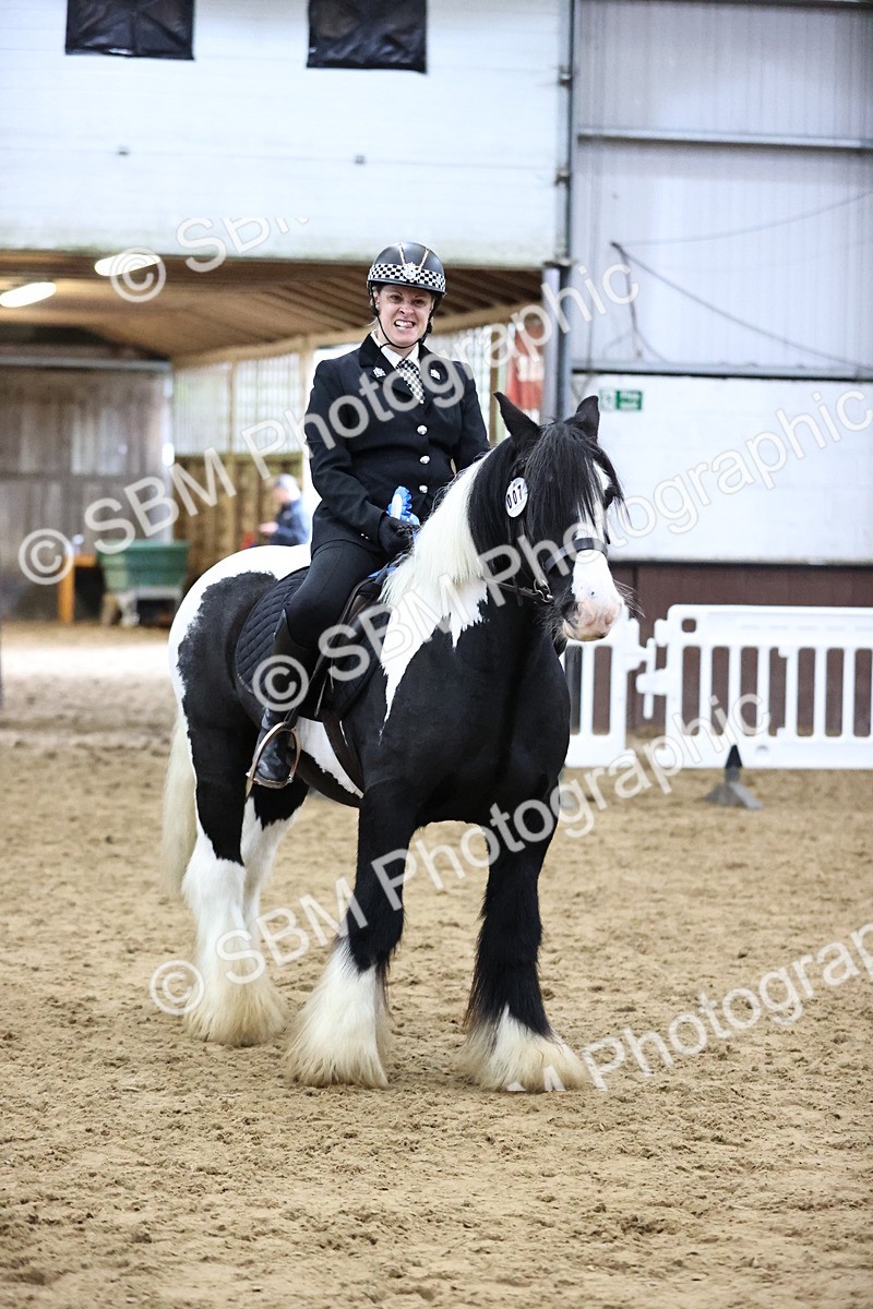 SBM_6399 - Class 45-42 - Ridden Irish Breeds-Ridden Cob