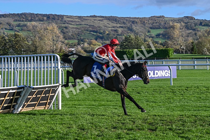 251025-Race 4-Gowel Road-9135 - Race 4