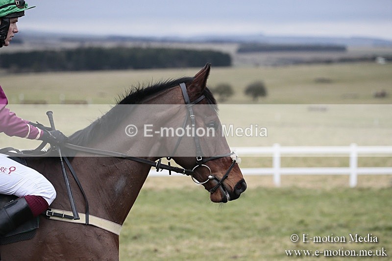 PtP 180218 365 - Combined Services Point-to-Point Larkhill 18/02/18
