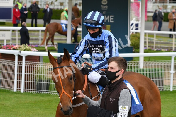 yr14052021r7-14 - Race 7 4.50pm Irish Thoroughbred Marketing Stakes