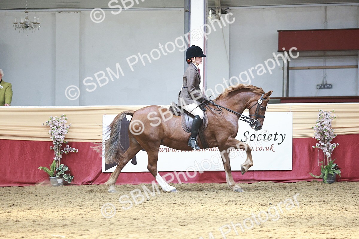 SBM_07138 - Class 10R - Regional Ridden Diamond