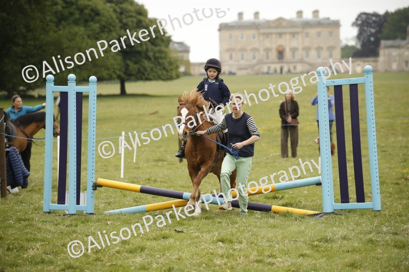 20250517-0236 - Class 1 - 30cm On Lead Rein