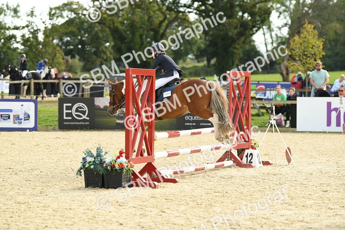 SBM_69307 - J15 - Junior Pony 70cm Championship