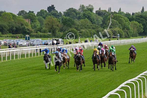 150524-Race 5-Diligent Resdev-4376 - Race 5 4.15pm Conundrum HR Consulting Handicap