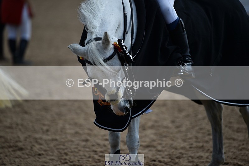 230902A-144948-01834 - Cls 3B Pony Medium 90cm