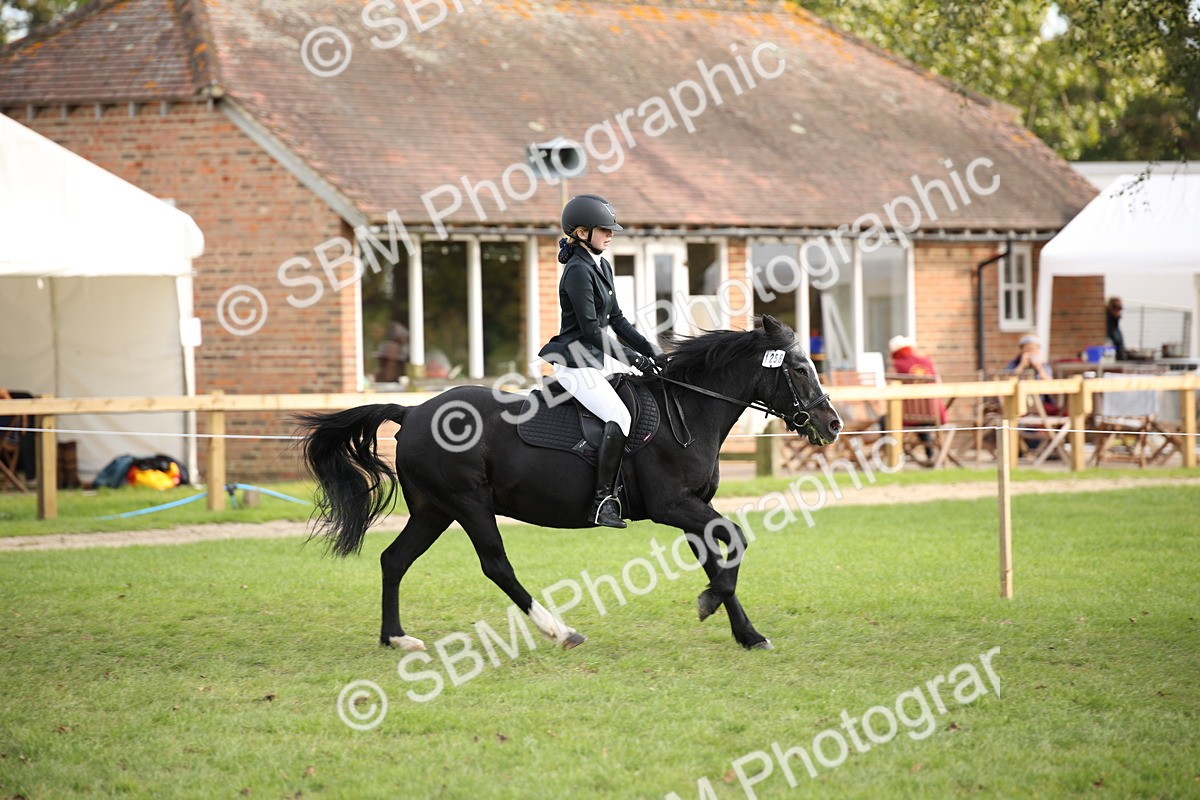 SBM_54254 - S27 - Mature Veteran - Ridden