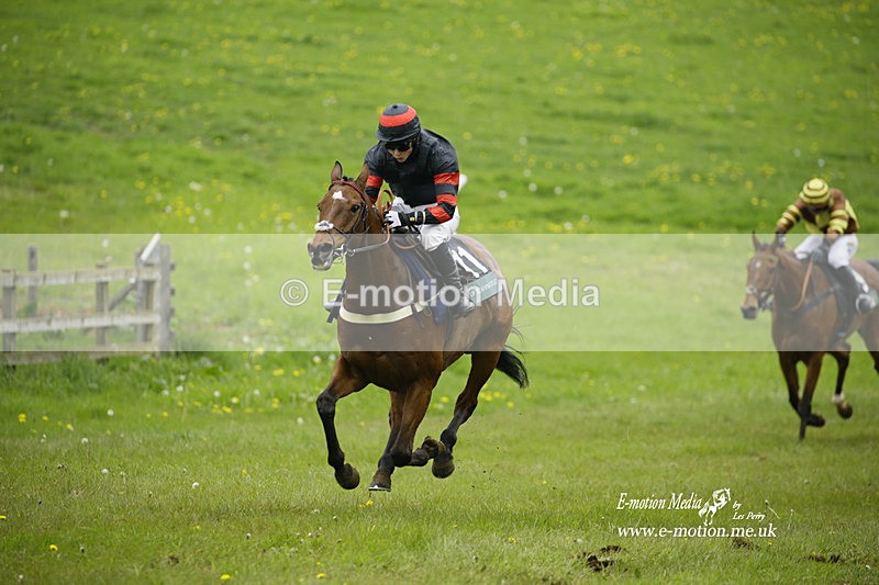 PtP 020522 142 - Mollington Races Point-to-Point 02/05/22