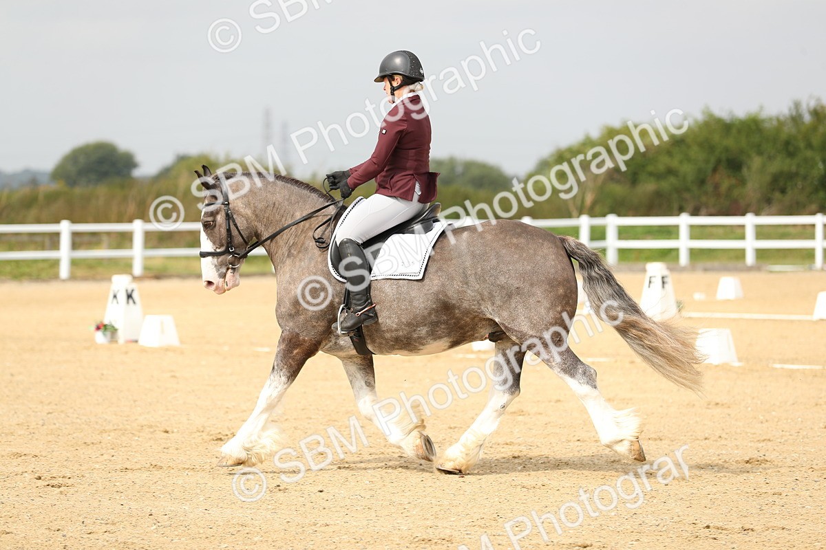 SBM_017308 - Class 13 - Novice 23 - 13.31-14.13