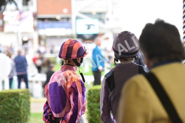 yr22072022r3-3 - Race 3 6.20pm Tomahawk Stakes