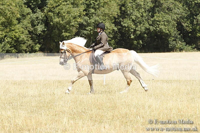 _BS_0764 - BVRC Show 2018 Ring 1