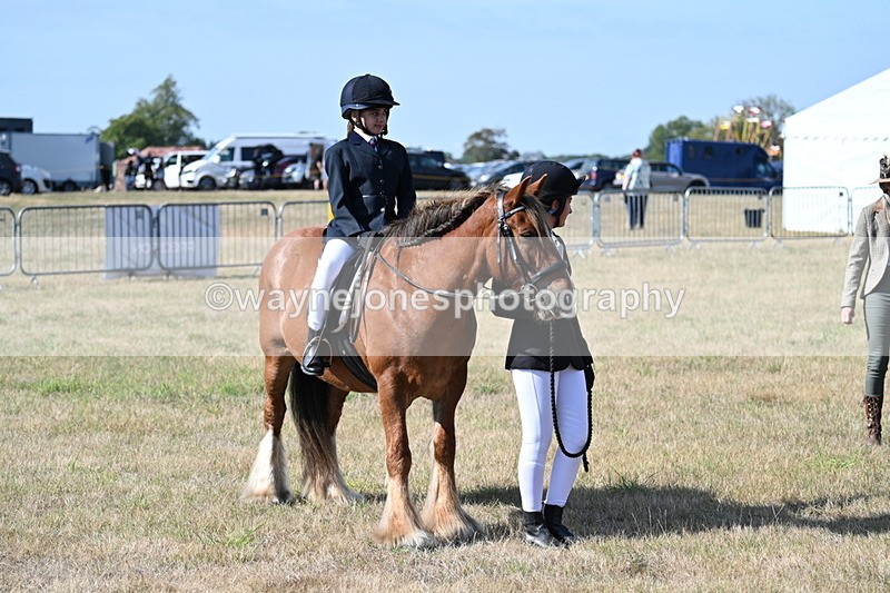 WJ7_2881 - Class 8 Ridden Tack & Turnout