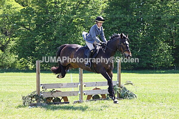IMG_4033 - Working Hunter