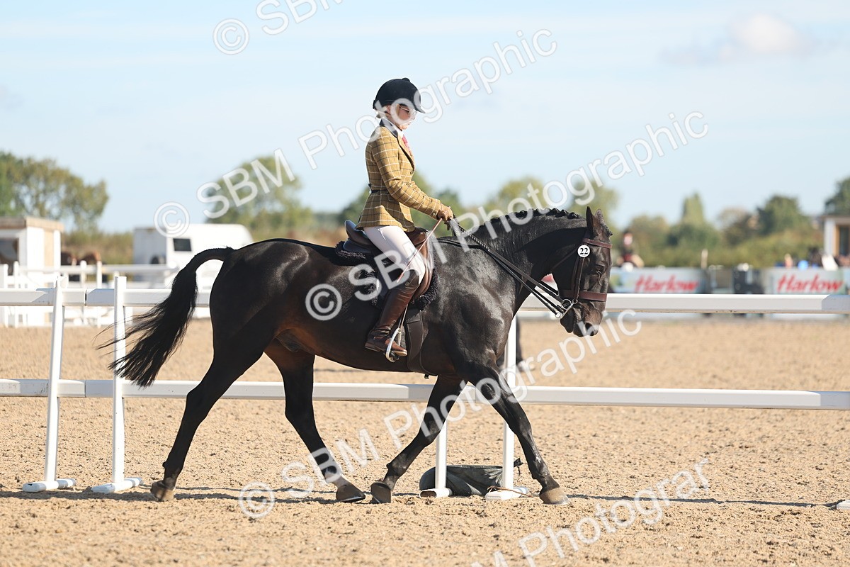 SBM_12305 - Class 304 - Ridden part Bred Horse Pony