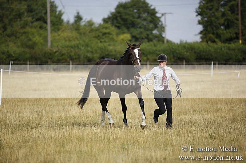 _C7A9123 - BVRC Sow 2018 Ring 2