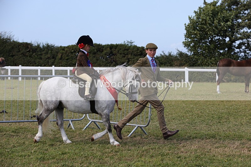 1X9A5508 - M&M Mini Ridden Championship