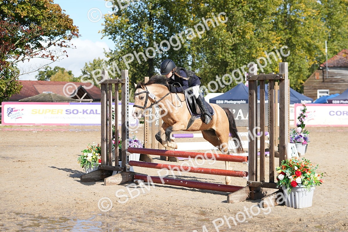 SBM_38374 - J6 - Junior Pony 55cm Championship
